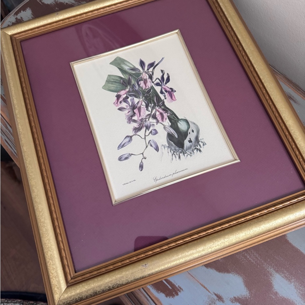 Vintage Orchid Lithograph with Gilded Frame by S. Holden Del & LH